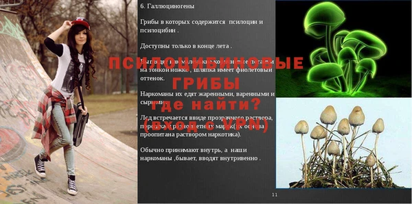 винт Алексеевка