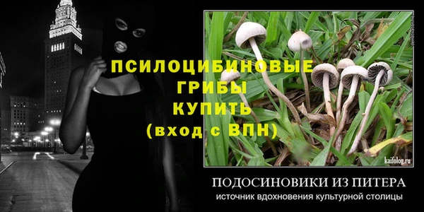 мдпв Абдулино